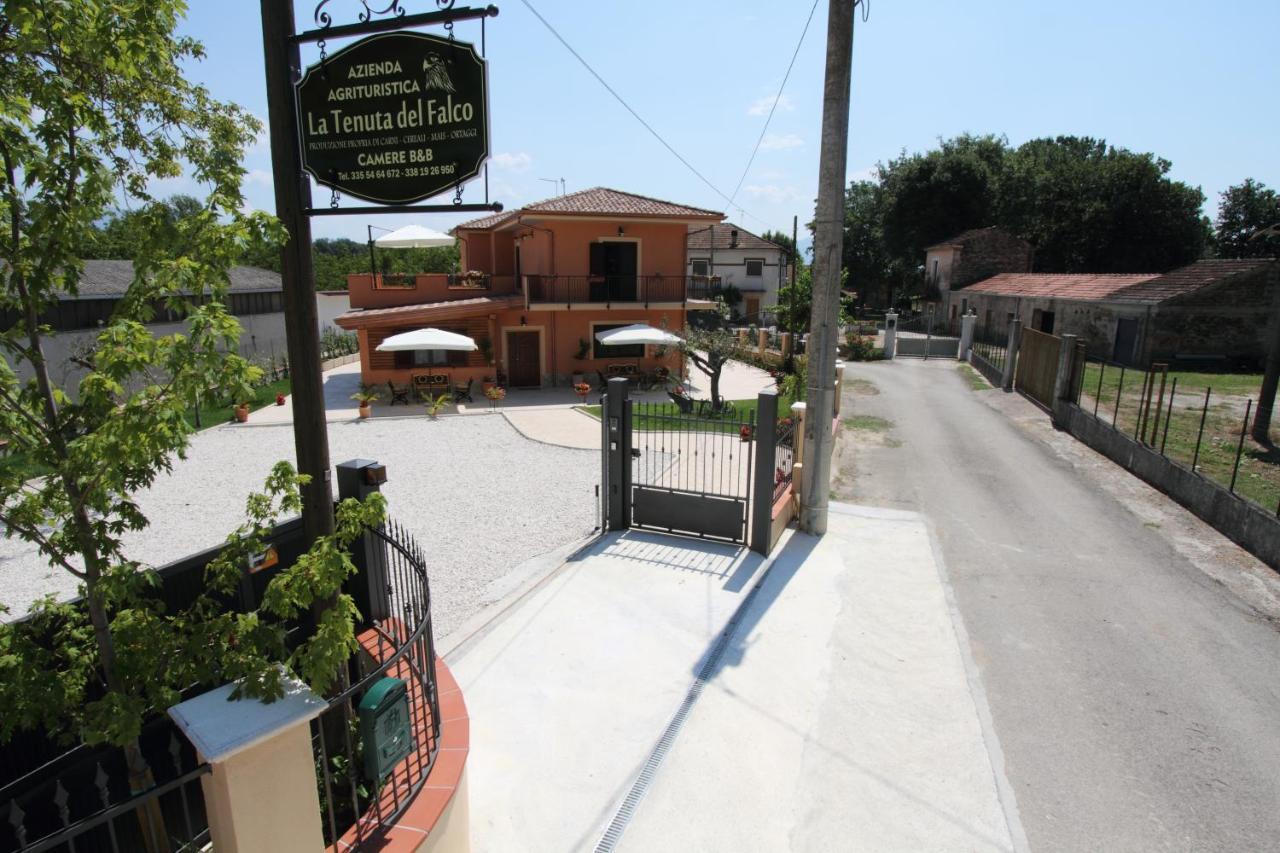 Azienda Agrituristica La Tenuta Del Falco Piedimonte San Germano Exteriér fotografie