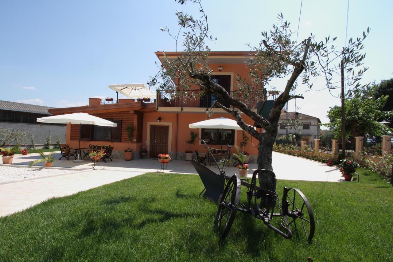 Azienda Agrituristica La Tenuta Del Falco Piedimonte San Germano Exteriér fotografie