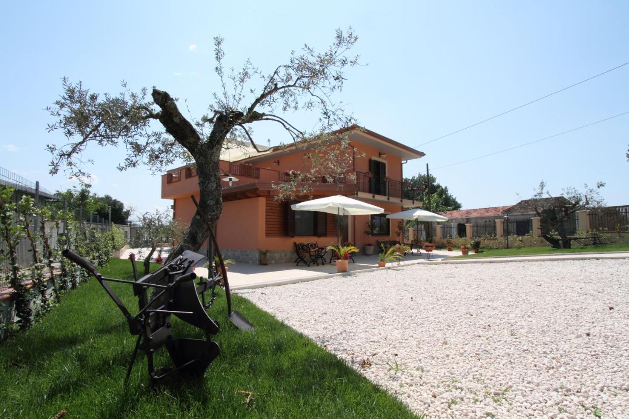 Azienda Agrituristica La Tenuta Del Falco Piedimonte San Germano Exteriér fotografie