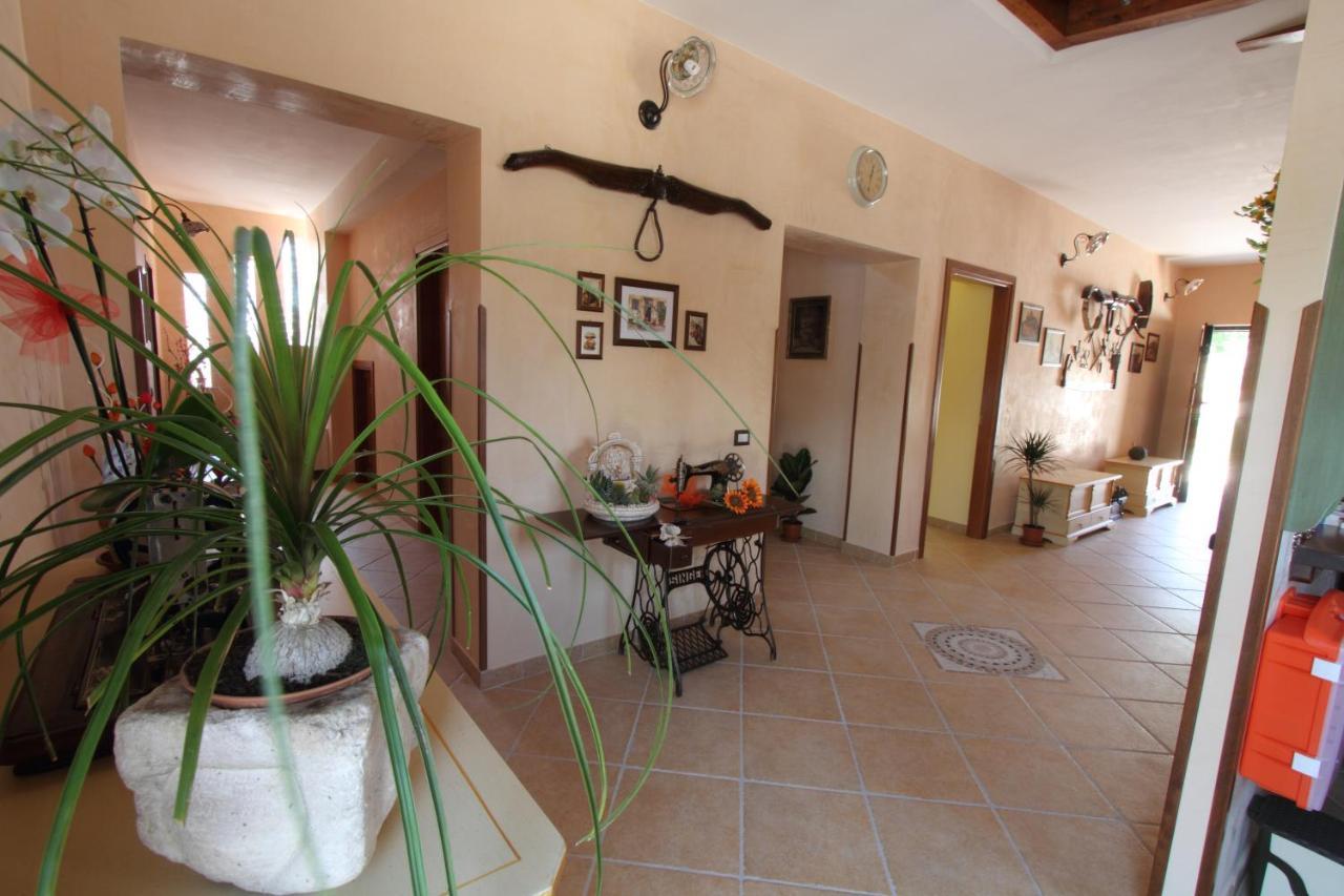 Azienda Agrituristica La Tenuta Del Falco Piedimonte San Germano Exteriér fotografie