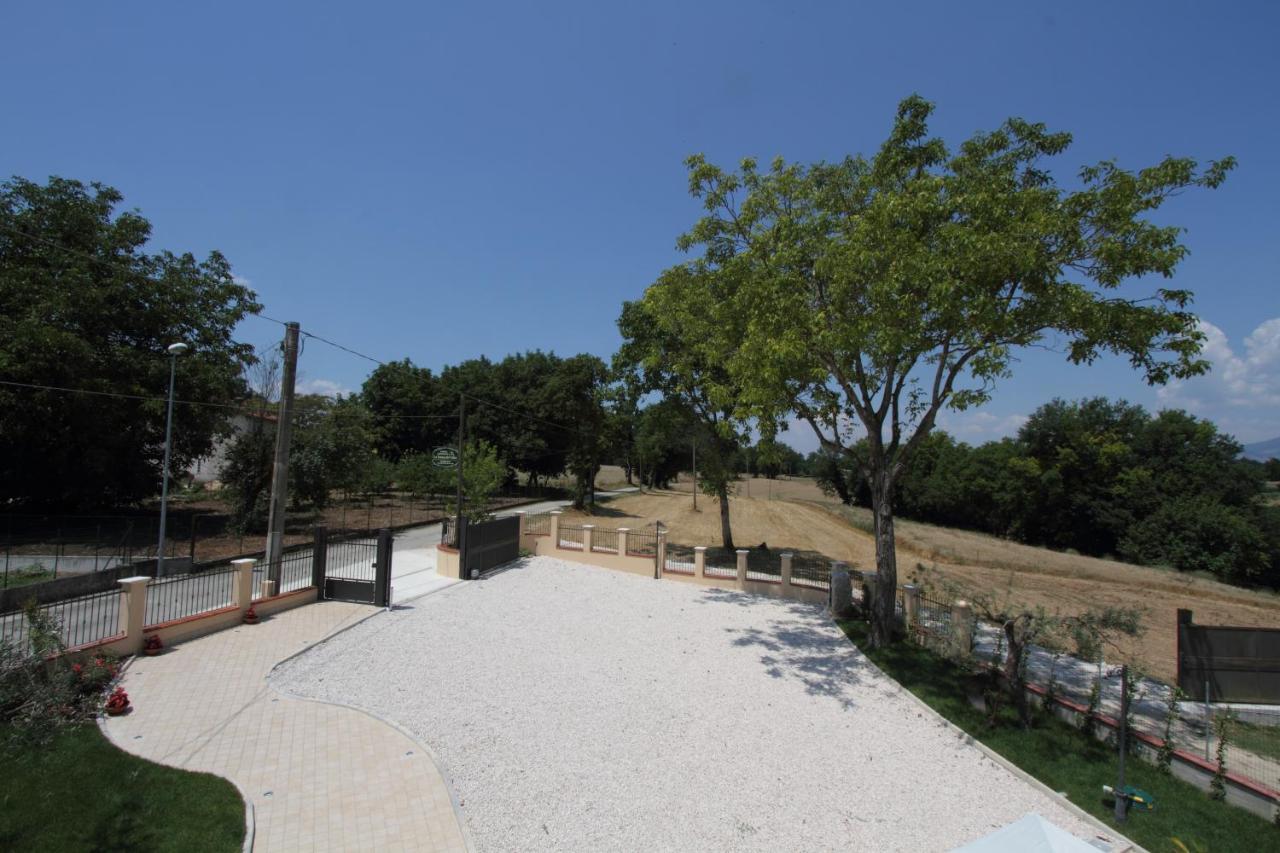 Azienda Agrituristica La Tenuta Del Falco Piedimonte San Germano Exteriér fotografie